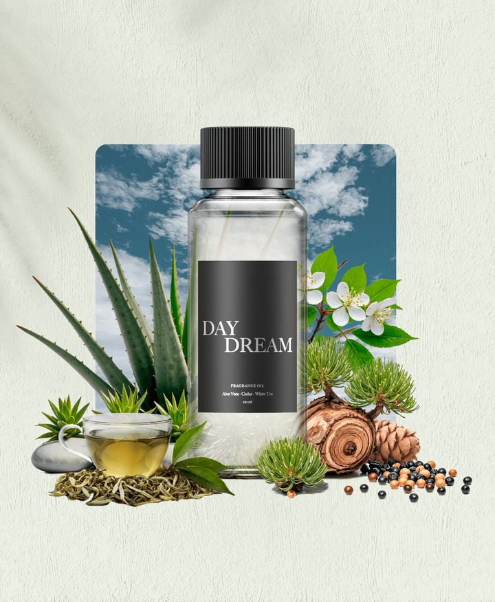 Day Dream Fragrance Oil